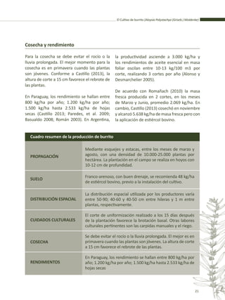 El Cultivo de burrito (Aloysia Polystachya (Griseb.) Moldenke)
21
Cosecha y rendimiento
Para la cosecha se debe evitar el rocío o la
lluvia prolongada. El mejor momento para la
cosecha es en primavera cuando las plantas
son jóvenes. Conforme a Castillo (2013), la
altura de corte a 15 cm favorece el rebrote de
las plantas.
En Paraguay, los rendimiento se hallan entre
800 kg/ha por año; 1.200 kg/ha por año;
1.500 kg/ha hasta 2.533 kg/ha de hojas
secas (Castillo 2013; Paredes, et al. 2009;
Basualdo 2008; Román 2003). En Argentina,
la productividad asciende a 3.000 kg/ha y
los rendimientos de aceite esencial en masa
foliar oscilan entre 10-13 kg/100 m3 por
corte, realizando 3 cortes por año (Alonso y
Desmarchelier 2005).
De acuerdo con Romañach (2010) la masa
fresca producida en 2 cortes, en los meses
de Marzo y Junio, promedio 2.069 kg/ha. En
cambio, Castillo (2013) cosechó en noviembre
y alcanzó 5.638 kg/ha de masa fresca pero con
la aplicación de estiércol bovino.
PROPAGACIÓN
SUELO
DISTRIBUCIÓN ESPACIAL
CUIDADOS CULTURALES
COSECHA
RENDIMIENTOS
Cuadro resumen de la producción de burrito
Mediante esquejes y estacas, entre los meses de marzo y
agosto, con una densidad de 10.000-25.000 plantas por
hectárea. La plantación en el campo se realiza en hoyos con
10-12 cm de profundidad.
Franco-arenoso, con buen drenaje, se recomienda 48 kg/ha
de estiércol bovino, previo a la instalación del cultivo.
La distribución espacial utilizada por los productores varía
entre 50-90; 40-60 y 40-50 cm entre hileras y 1 m entre
plantas, respectivamente.
El corte de uniformización realizado a los 15 días después
de la plantación favorece la brotación basal. Otras labores
culturales pertinentes son las carpidas manuales y el riego.
Se debe evitar el rocío o la lluvia prolongada. El mejor es en
primavera cuando las plantas son jóvenes. La altura de corte
a 15 cm favorece el rebrote de las plantas.
En Paraguay, los rendimiento se hallan entre 800 kg/ha por
año; 1.200 kg/ha por año; 1.500 kg/ha hasta 2.533 kg/ha de
hojas secas
 