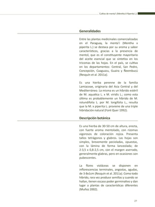 Cultivo de menta’i (Mentha X Piperita L.)
27
Generalidades
Entre las plantas medicinales comercializadas
en el Paraguay, la menta’i (Mentha x
piperita L.) se destaca por su aroma y sabor
característicos, gracias a la presencia de
mentol, que es el constituyente mayoritario
del aceite esencial que se sintetiza en los
tricomas de las hojas. En el país, se cultiva
en los departamentos: Central, San Pedro,
Concepción, Caaguazu, Guaira y Ñeembucú
(Resquín et al. 2011a).
Es una hierba perenne de la familia
Lamiaceae, originaria del Asia Central y del
Mediterráneo. La misma es un híbrido estéril
de M. aquatica L. x M. viridis L.; como esta
última es probablemente un híbrido de M.
rotundifolia L. por M. longifolia L., resulta
que la M. x piperita L. proviene de una triple
hibridación natural (Font Quer 1992).
Descripción botánica
Es una hierba de 30-50 cm de altura, erecta,
con fuerte aroma mentolado, con rizomas
vigorosos de coloración rojiza. Presenta
tallos tetrágonos y glabros. Las hojas son
simples, brevemente pecioladas, opuestas,
con la lámina de forma lanceolada; de
2-3,5 x 0,8-2,5 cm, con el margen aserrado,
generalmente glabras, pero en ocasiones son
pubescentes.
La flores violáceas se disponen en
inflorescencias terminales, angostas, agudas,
de 3-8x1cm (Resquín et al. 2011a). Como todo
híbrido, rara vez produce semillas y cuando se
hallan, tienen escaso poder germinativo y dan
lugar a plantas de características diferentes
(Muñoz 2002).
 
