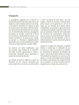 Producción de Plantas Medicinales
30
Propagación
La propagación vegetativa de la menta’i se
puederealizarutilizandoestacasderizomas,de
estolones, o bien emplear la división de matas,
o los plantines derivados de estacas de tallo
de la parte aérea (Armadans y Montiel 2011).
Las conveniencias del empleo de este método
son: el mantenimiento de clones, propagación
de plantas sin semillas, control de la forma
de crecimiento, combinación de clones, y por
razones económicas. Se destaca que, cuando
las plantas se reproducen vegetativamente
desarrollan raíces y raíces adventicias; es decir
fuera de su lugar (Hartmann y Kester 1994).
Los rizomas son tallos modificados, cuyo
eje principal crece debajo de la superficie
del suelo, se halla segmentado en nudos y
entrenudos, desarrolla raíces adventicias y
puntos de crecimiento laterales.
Las estacas de tallo se obtienen a partir de
divisiones de los rizomas, buscando que
cada sección lleve al menos una yema lateral
u “ojo”. Las estacas de tallo aéreo son más
rápidas y fáciles de manejar. Generalmente,
deben poseer una longitud de 6 a 10 cm de
largo, que son tomadas de la planta entera,
remojándolas suavementeenagua,demanera
a mantenerlas turgentes hasta que estén listas
para ser plantadas. Pudiendo ser la aplicación
de hormonas de enraizamiento opcionales,
pues las estacas enraízan fácilmente. Además,
comercialmente son más factibles, ya que se
obtienenplantinesapartirdelas4a6semanas
aproximadamente.
Conforme al trabajo de Armadans y Montiel
(2012), se señala que la utilización de por
lo menos un nudo en el proceso es factible.
Se recomienda la utilización de bandejas de
isopor u otro material para facilitar el manejo.
Primeramente se depositan los rizomas en las
celdas, a 1 cm de profundidad, presionándolas
de manera a que queden fijas, hagan contacto
con el sustrato y se eviten las bolsas de aire.
Seguidamente, se riega dos veces por día.
 