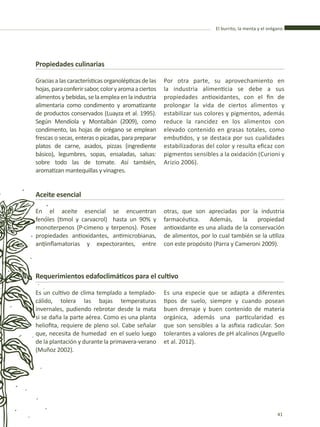 El burrito, la menta y el orégano
41
Propiedades culinarias
Graciasalascaracterísticasorganolépticasdelas
hojas,paraconferirsabor,coloryaromaaciertos
alimentos y bebidas, se la emplea en la industria
alimentaria como condimento y aromatizante
de productos conservados (Luayza et al. 1995).
Según Mendiola y Montalbán (2009), como
condimento, las hojas de orégano se emplean
frescas o secas, enteras o picadas, para preparar
platos de carne, asados, pizzas (ingrediente
básico), legumbres, sopas, ensaladas, salsas:
sobre todo las de tomate. Así también,
aromatizan mantequillas y vinagres.
Por otra parte, su aprovechamiento en
la industria alimenticia se debe a sus
propiedades antioxidantes, con el fin de
prolongar la vida de ciertos alimentos y
estabilizar sus colores y pigmentos, además
reduce la rancidez en los alimentos con
elevado contenido en grasas totales, como
embutidos, y se destaca por sus cualidades
estabilizadoras del color y resulta eficaz con
pigmentos sensibles a la oxidación (Curioni y
Arizio 2006).
otras, que son apreciadas por la industria
farmacéutica. Además, la propiedad
antioxidante es una aliada de la conservación
de alimentos, por lo cual también se la utiliza
con este propósito (Parra y Cameroni 2009).
Aceite esencial
En el aceite esencial se encuentran
fenoles (timol y carvacrol) hasta un 90% y
monoterpenos (P-cimeno y terpenos). Posee
propiedades antioxidantes, antimicrobianas,
antiinflamatorias y expectorantes, entre
Es un cultivo de clima templado a templado-
cálido, tolera las bajas temperaturas
invernales, pudiendo rebrotar desde la mata
si se daña la parte aérea. Como es una planta
heliofita, requiere de pleno sol. Cabe señalar
que, necesita de humedad en el suelo luego
de la plantación y durante la primavera-verano
(Muñoz 2002).
Requerimientos edafoclimáticos para el cultivo
Es una especie que se adapta a diferentes
tipos de suelo, siempre y cuando posean
buen drenaje y buen contenido de materia
orgánica, además una particularidad es
que son sensibles a la asfixia radicular. Son
tolerantes a valores de pH alcalinos (Arguello
et al. 2012).
 