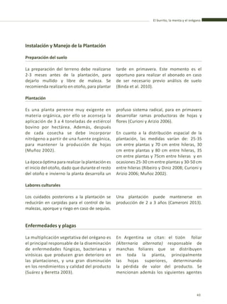 El burrito, la menta y el orégano
43
Preparación del suelo
La preparación del terreno debe realizarse
2-3 meses antes de la plantación, para
dejarlo mullido y libre de maleza. Se
recomienda realizarlo en otoño, para plantar
tarde en primavera. Este momento es el
oportuno para realizar el abonado en caso
de ser necesario previo análisis de suelo
(Binda et al. 2010).
Instalación y Manejo de la Plantación
Plantación
Es una planta perenne muy exigente en
materia orgánica, por ello se aconseja la
aplicación de 3 a 4 toneladas de estiércol
bovino por hectárea. Además, después
de cada cosecha se debe incorporar
nitrógeno a partir de una fuente orgánica,
para mantener la producción de hojas
(Muñoz 2002).
La época óptima para realizar la plantación es
el inicio del otoño, dado que durante el resto
del otoño e invierno la planta desarrolla un
profuso sistema radical, para en primavera
desarrollar ramas productoras de hojas y
flores (Curioni y Arizio 2006).
En cuanto a la distribución espacial de la
plantación, las medidas varían de: 25-35
cm entre plantas y 70 cm entre hileras, 30
cm entre plantas y 80 cm entre hileras, 35
cm entre plantas y 75cm entre hileras y en
ocasiones 25-30 cm entre plantas y 30-50 cm
entre hileras (Ribeiro y Diniz 2008; Curioni y
Arizio 2006; Muñoz 2002).
Labores culturales
Los cuidados posteriores a la plantación se
reducirán en carpidas para el control de las
malezas, aporque y riego en caso de sequías.
Una plantación puede mantenerse en
producción de 2 a 3 años (Cameroni 2013).
Enfermedades y plagas
La multiplicación vegetativa del orégano es
el principal responsable de la diseminación
de enfermedades fúngicas, bacterianas y
virósicas que producen gran deterioro en
las plantaciones, y una gran disminución
en los rendimientos y calidad del producto
(Suárez y Beretta 2003).
En Argentina se citan: el tizón foliar
(Alternaria alternata) responsable de
manchas foliares que se distribuyen
en toda la planta, principalmente
las hojas superiores, determinando
la pérdida de valor del producto. Se
mencionan además los siguientes agentes
 
