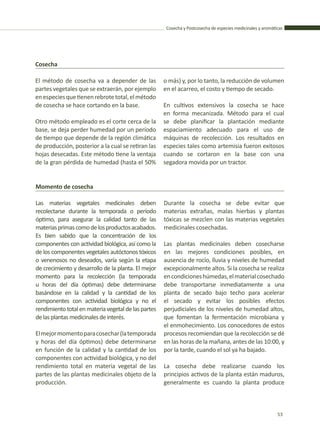 Cosecha y Postcosecha de especies medicinales y aromáticas
53
Cosecha
El método de cosecha va a depender de las
partes vegetales que se extraerán, por ejemplo
enespeciesquetienenrebrotetotal,elmétodo
de cosecha se hace cortando en la base.
Otro método empleado es el corte cerca de la
base, se deja perder humedad por un período
de tiempo que depende de la región climática
de producción, posterior a la cual se retiran las
hojas desecadas. Este método tiene la ventaja
de la gran pérdida de humedad (hasta el 50%
o más) y, por lo tanto, la reducción de volumen
en el acarreo, el costo y tiempo de secado.
En cultivos extensivos la cosecha se hace
en forma mecanizada. Método para el cual
se debe planificar la plantación mediante
espaciamiento adecuado para el uso de
máquinas de recolección. Los resultados en
especies tales como artemisia fueron exitosos
cuando se cortaron en la base con una
segadora movida por un tractor.
Momento de cosecha
Las materias vegetales medicinales deben
recolectarse durante la temporada o período
óptimo, para asegurar la calidad tanto de las
materiasprimascomodelosproductosacabados.
Es bien sabido que la concentración de los
componentes con actividad biológica, así como la
de los componentes vegetales autóctonos tóxicos
o venenosos no deseados, varía según la etapa
de crecimiento y desarrollo de la planta. El mejor
momento para la recolección (la temporada
u horas del día óptimas) debe determinarse
basándose en la calidad y la cantidad de los
componentes con actividad biológica y no el
rendimientototalen materiavegetaldelaspartes
delasplantasmedicinalesdeinterés.
Elmejormomentoparacosechar(latemporada
y horas del día óptimos) debe determinarse
en función de la calidad y la cantidad de los
componentes con actividad biológica, y no del
rendimiento total en materia vegetal de las
partes de las plantas medicinales objeto de la
producción.
Durante la cosecha se debe evitar que
materias extrañas, malas hierbas y plantas
tóxicas se mezclen con las materias vegetales
medicinales cosechadas.
Las plantas medicinales deben cosecharse
en las mejores condiciones posibles, en
ausencia de rocío, lluvia y niveles de humedad
excepcionalmente altos. Si la cosecha se realiza
encondicioneshúmedas,elmaterialcosechado
debe transportarse inmediatamente a una
planta de secado bajo techo para acelerar
el secado y evitar los posibles efectos
perjudiciales de los niveles de humedad altos,
que fomentan la fermentación microbiana y
el enmohecimiento. Los conocedores de estos
procesos recomiendan que la recolección se dé
en las horas de la mañana, antes de las 10:00, y
por la tarde, cuando el sol ya ha bajado.
La cosecha debe realizarse cuando los
principios activos de la planta están maduros,
generalmente es cuando la planta produce
 