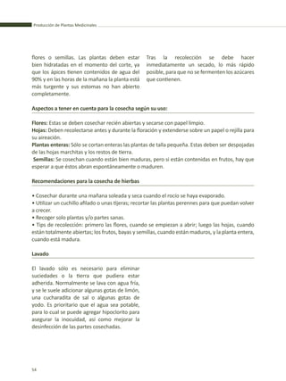 Producción de Plantas Medicinales
54
flores o semillas. Las plantas deben estar
bien hidratadas en el momento del corte, ya
que los ápices tienen contenidos de agua del
90% y en las horas de la mañana la planta está
más turgente y sus estomas no han abierto
completamente.
Tras la recolección se debe hacer
inmediatamente un secado, lo más rápido
posible, para que no se fermenten los azúcares
que contienen.
Aspectos a tener en cuenta para la cosecha según su uso:
Flores: Estas se deben cosechar recién abiertas y secarse con papel limpio.
Hojas: Deben recolectarse antes y durante la floración y extenderse sobre un papel o rejilla para
su aireación.
Plantas enteras: Sólo se cortan enteras las plantas de talla pequeña. Estas deben ser despojadas
de las hojas marchitas y los restos de tierra.
Semillas: Se cosechan cuando están bien maduras, pero si están contenidas en frutos, hay que
esperar a que éstos abran espontáneamente o maduren.
Recomendaciones para la cosecha de hierbas
• Cosechar durante una mañana soleada y seca cuando el rocío se haya evaporado.
• Utilizar un cuchillo afilado o unas tijeras; recortar las plantas perennes para que puedan volver
a crecer.
• Recoger solo plantas y/o partes sanas.
• Tips de recolección: primero las flores, cuando se empiezan a abrir; luego las hojas, cuando
están totalmente abiertas; los frutos, bayas y semillas, cuando están maduros, y la planta entera,
cuando está madura.
Lavado
El lavado sólo es necesario para eliminar
suciedades o la tierra que pudiera estar
adherida. Normalmente se lava con agua fría,
y se le suele adicionar algunas gotas de limón,
una cucharadita de sal o algunas gotas de
yodo. Es prioritario que el agua sea potable,
para lo cual se puede agregar hipoclorito para
asegurar la inocuidad, así como mejorar la
desinfección de las partes cosechadas.
 