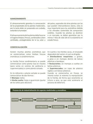 Cosecha y Postcosecha de especies medicinales y aromáticas
59
ALMACENAMIENTO
El almacenamiento garantiza la conservación
de las propiedades de las plantas medicinales,
por lo tanto debe ser preparado con cuidado,
evitando la humedad.
Elalmacenamientodelasplantasdebehacerse
enlugareslimpios,frescos,sombreadosybien
ventilados, protegiéndolas de la luz solar y
del polvo, separadas de otras plantas con las
que puedan intercambiarse olores, esto es
muy importante para las aromáticas debido
a los elevados contenidos de compuestos
volátiles. Cuando las plantas se destinan
a un mercado, se deben garantizar por lo
menos 7 días de vida útil en la estantería en
estado fresco.
COMERCIALIZACIÓN
Existen muchas plantas aromáticas que
se comercializan como hierbas frescas
aromáticas o condimentarias.
La hierba fresca condimentaria se puede
comercializar como planta viva en maceta
(para venta en centros de jardinería o
supermercados) o como planta cortada.
En lo referente a planta cortada se puede
comercializar de dos formas:
• Manojos: tallos
• Hierba suelta: hojas o guarnición (punta
de los tallos para decorar)
En cuanto a las hierbas secas, el envasado
dependerá del sector al cual va dirigido:
• Distribuidores mayoristas: a granel,
a peso o en manojos dentro de bolsas
plásticas o bandejas.
• Restaurantes: en manojos o sueltas en
bolsas plásticas.
• Supermercados: en cajas de plástico
rígidas o en bolsas plásticas.
Cuando se comercializa en fresco, se
intenta evitar al máximo la manipulación
de la hierba, de forma que raramente se
tritura o pica, ya que esto aceleraría el
proceso de deterioro.
Proceso de de industrialización de especies medicinales y aromáticas.
CULTIVO RECOLECCIÓN SELECCIÓN Y LIMPIEZA ACONDICIONADO Y ENVASADO
DISTRIBUCIÓN ALMACENAJE REFRIGERACIÓN
 