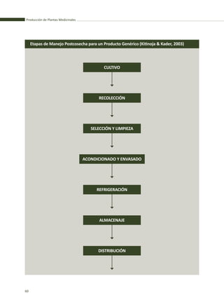 Producción de Plantas Medicinales
60
Etapas de Manejo Postcosecha para un Producto Genérico (Kitinoja & Kader, 2003)
CULTIVO
RECOLECCIÓN
REFRIGERACIÓN
ALMACENAJE
DISTRIBUCIÓN
SELECCIÓN Y LIMPIEZA
ACONDICIONADO Y ENVASADO
 
