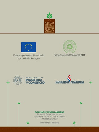 Producción de Plantas Medicinales
76
 