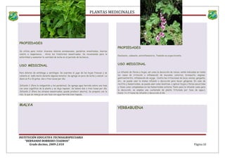 PLANTAS MEDICINALES
PROPIEDADES
Se utiliza para tratar diversos dolores estomacales, parásitos intestinales, diarrea
vomito e inapetencia. Alivia los trastornos menstruales. Se recomienda para la
esterilidad y aumentar la cantidad de leche en el periodo de lactancia..
USO MEDICINAL
Para dolores de estómago y aerofagia: Se exprime el jugo de las hojas frescas y se
calienta al baño maría durante algunos minutos. Se agrega un poco de leche y azúcar. La
dosis es 5 a 10 gotas, dos o tres veces por día.
Infusión 1: (Para la indigestión y los parásitos). Se agrega agua hervida sobre una taza
con unos cogollitos de la planta y se deja reposar. Se beben dos o tres tazas por día.
Infusión 2: (Para los atrasos menstruales; puede producir aborto). Se prepara con la
raíz, la que se remoja en una taza con agua hervida bien tapada.
MALVA
PROPIEDADES
Emoliente, calmante, antiinflamatoria, También es expectorante.
USO MEDICINAL
La infusión de flores y hojas, así como la decocción de raíces, están indicadas en todos
los casos de irritación o inflamación de mucosas; catarros, bronquitis, anginas,
gastroenteritis, inflamación de vejiga. Contra las irritaciones de boca, encías, garganta,
etc., se puede usar la misma infusión o decocción para hacer gárgaras. En caso de
rectitis y hemorroides, se puede usar como lavativas, o aplicar hojas y flores escurridas
y tibias como cataplasmas en las hemorroides externa Tanto para la infusión como para
la decocción, se emplea una cucharada de planta triturada por taza de agua.).
Dosis: 3 o 4 tazas de infusión o decocción al día
YERBABUENA
INSTITUCIÓN EDUCATIVA TECNOAGROPECUARIA
“HERNANDO BORRERO CUADROS”
Grado decimo, 2009-2.010 Página 10
 