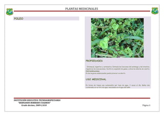 PLANTAS MEDICINALES
POLEO
PROPIEDADES
Estomacal, digestivo y carminativo. Estimula las funciones del estómago y del intestino,
regulariza las evacuaciones, facilita la expulsión de gases y alivia los dolores de vientre.
Contraindicaciones
En las mujeres embarazadas puede provocar un aborto.
USO MEDICINAL
En forma de tisana una cucharadita por taza de agua, 3 veces al día. Baños dos
cucharadas en un litro de agua, mezcladas en el agua del baño.
INSTITUCIÓN EDUCATIVA TECNOAGROPECUARIA
“HERNANDO BORRERO CUADROS”
Grado decimo, 2009-2.010 Página 3
 