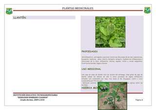 PLANTAS MEDICINALES
LLANTÉN
PROPIEDADES
Antiinflamatorio, astringente y pectoral. Contra las afecciones de las vías respiratorias,
bronquitis, tosferina, asma, catarro, faringitis, laringitis. Combate las inflamaciones e
infecciones de la boca, estomatitis, úlceras, anginas, rinitis y encías sangrantes.
Cicatriza las heridas, llagas y úlceras
USO MEDICINAL
Una copa de sumo de llantén cura las ulceras del estomago, Unas gotas de jugo de
llantén calman los dolores de oído si estos provienen de alguna inflamación,
Infusión: una cucharadita por taza, tres veces al día. Enjuagues: cuatro o cinco
cucharaditas por litro de agua.
Aplicación externa: hojas frescas bien limpias y escaldadas (se aplican sobre las
heridas).
HIERVA MORA
INSTITUCIÓN EDUCATIVA TECNOAGROPECUARIA
“HERNANDO BORRERO CUADROS”
Grado decimo, 2009-2.010 Página 6
 