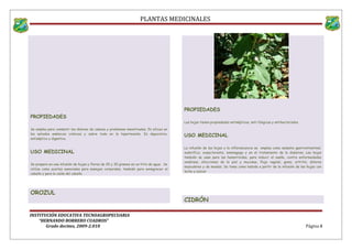 PLANTAS MEDICINALES
PROPIEDADES
Se emplea para combatir los dolores de cabeza y problemas menstruales. Es eficaz en
los estados anémicos crónicos y sobre todo en la hipertensión. Es depurativo,
antiséptico y digestivo.
USO MEDICINAL
Se prepara en una infusión de hojas y flores de 20 y 30 gramos en un litro de agua; Se
utiliza como aceites esenciales para masajes corporales, también para ennegrecer el
cabello y para la caída del cabello.
OROZUL
PROPIEDADES
Las hojas tienen propiedades antisépticas, anti fúngicas y antibacteriales.
USO MEDICINAL
La infusión de las hojas y la inflorescencia se emplea como sedante gastrointestinal,
sudorífico, expectorante, emenagogo y en el tratamiento de la diabetes. Las hojas
también se usan para las hemorroides, para inducir el sueño, contra enfermedades
venéreas, afecciones de la piel y mucosas, flujo vaginal, goma, artritis, dolores
musculares y de muelas; Se toma como bebida a partir de la infusión de las hojas con
leche y azúcar
CIDRÓN
INSTITUCIÓN EDUCATIVA TECNOAGROPECUARIA
“HERNANDO BORRERO CUADROS”
Grado decimo, 2009-2.010 Página 8
 