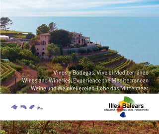 Vinos y Bodegas - Vive el mediterráneo