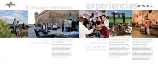 Vinos y Bodegas - Vive el mediterráneo