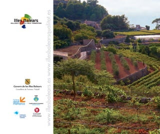 Vinos y Bodegas - Vive el mediterráneo