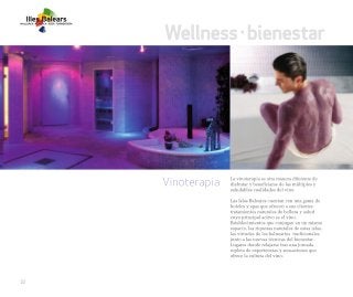 Vinos y Bodegas - Vive el mediterráneo