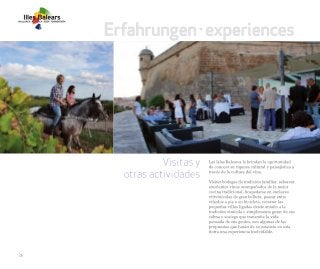 Vinos y Bodegas - Vive el mediterráneo