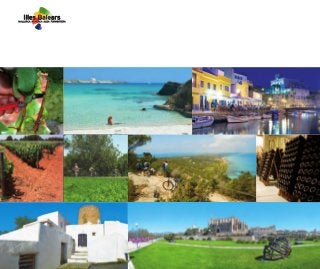 Vinos y Bodegas - Vive el mediterráneo