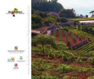 Vinos y Bodegas - Vive el mediterráneo