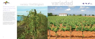 Vinos y Bodegas - Vive el mediterráneo