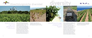 Vinos y Bodegas - Vive el mediterráneo