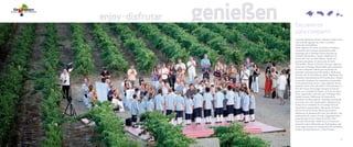 Vinos y Bodegas - Vive el mediterráneo