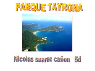 PARQUE TAYRONA Nicolas suarez cañon  5d 