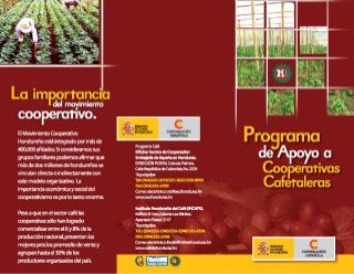 Programa apoyo cooperativas cafetaleras 2005