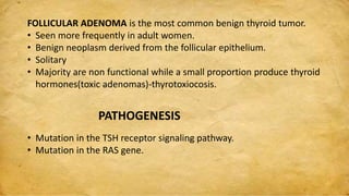 FOLLICULAR ADENOMA is the most common benign thyroid tumor.
• Seen more frequently in adult women.
• Benign neoplasm derived from the follicular epithelium.
• Solitary
• Majority are non functional while a small proportion produce thyroid
hormones(toxic adenomas)-thyrotoxiocosis.
PATHOGENESIS
• Mutation in the TSH receptor signaling pathway.
• Mutation in the RAS gene.
 