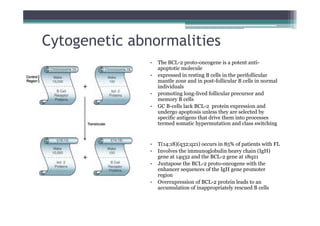 Cytogenetic abnormalities
• The BCL-2 proto-oncogene is a potent anti-
apoptotic molecule
• expressed in resting B cells in the perifollicular
mantle zone and in post-follicular B cells in normal
individuals
• promoting long-lived follicular precursor and
memory B cells
• GC B-cells lack BCL-2 protein expression and
undergo apoptosis unless they are selected by
specific antigens that drive them into processes
termed somatic hypermutation and class switching
• T(14;18)(q32;q21) occurs in 85% of patients with FL
• Involves the immunoglobulin heavy chain (IgH)
gene at 14q32 and the BCL-2 gene at 18q21
• Juxtapose the BCL-2 proto-oncogene with the
enhancer sequences of the IgH gene promoter
region
• Overexpression of BCL-2 protein leads to an
accumulation of inappropriately rescued B cells
 