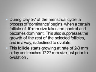  During Day 5-7of the menstrual cycle, a
processof 'dominance' begins, when acertain
follicle of 10mm size takes the control and
becomes dominant. This also suppressesthe
growth of the rest of the selected follicles,
and in away, is destined to ovulate.
 This follicle starts growing at rate of 2-3 mm
aday and reaches 17-27mm size just prior to
ovulation .
 