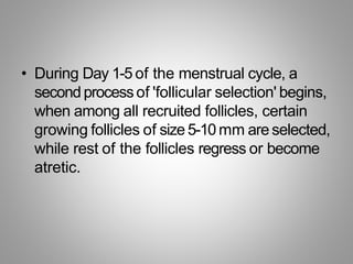 • During Day 1-5 of the menstrual cycle, a
secondprocessof 'follicular selection' begins,
when among all recruited follicles, certain
growing follicles of size 5-10mm are selected,
while rest of the follicles regress or become
atretic.
 