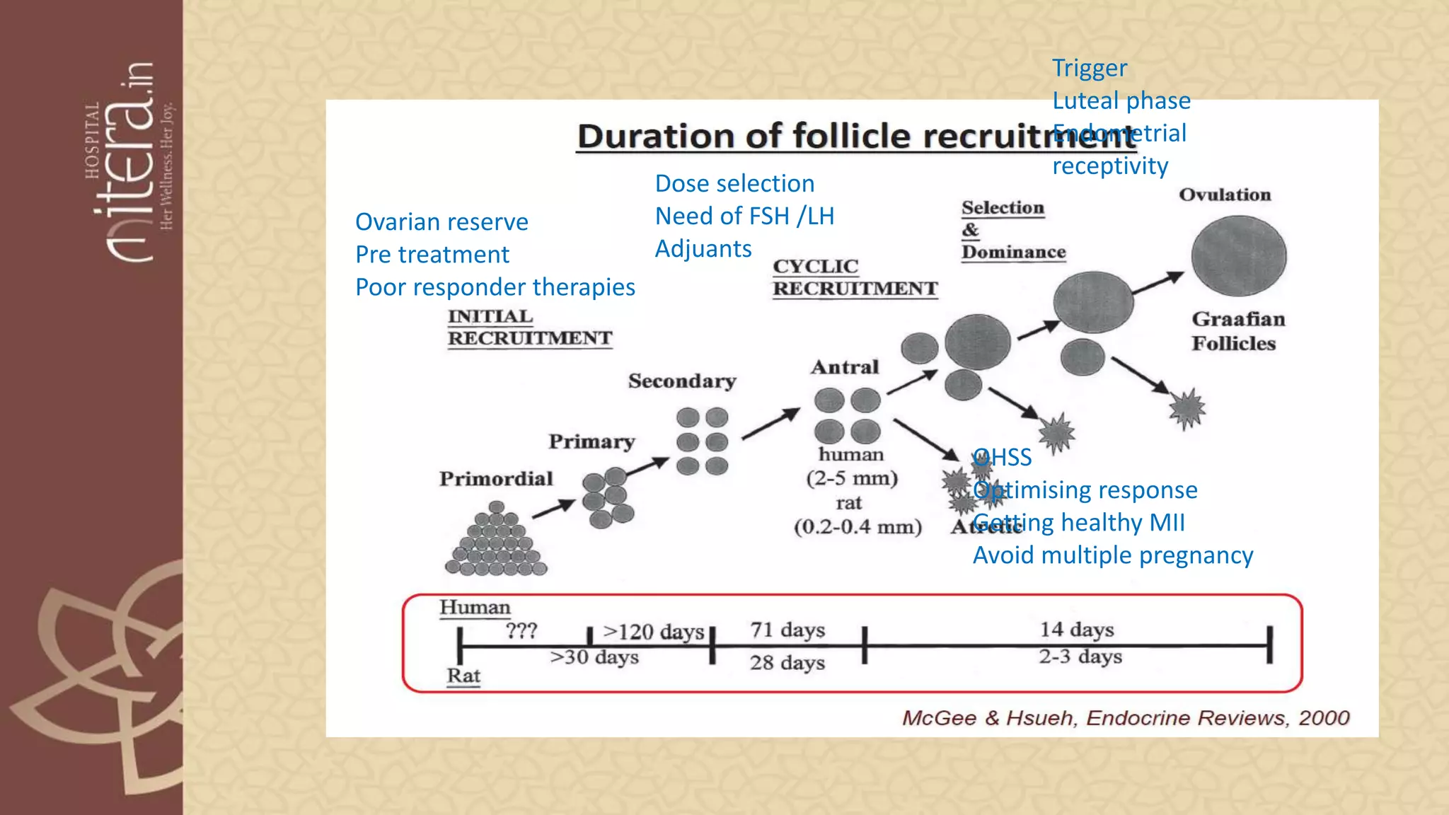 folliculogenesis.pptx