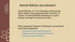 Antral follicle recruitment
Antral follicles 2–5 mm develop continuously,
while others have proposed that ‘cohorts’ or
‘waves’ of antral follicles develop in a cyclic
manner during the menstrual cycle.
Three separate theories of follicular recruitment
have been proposed.
– Continuous recruitment (Theory 1)
– Single recruitment episode (Theory 2)
– Follicular waves (Theory 3)
 