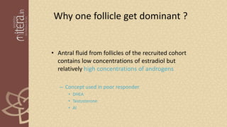 Why one follicle get dominant ?
• Antral fluid from follicles of the recruited cohort
contains low concentrations of estradiol but
relatively high concentrations of androgens
– Concept used in poor responder
• DHEA
• Testosterone
• AI
 