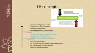 LH concepts
• Suppression of granulosa cell
• Atresia of non dominant follicle
• Premature luteinization
• Oocyte development compromised
– Ceiling
• Normal follicular growth and development
• Adequate granula proliferation
• Full follicular and oocyte maturation
– Threshold
• Granulosa proliferation
• No paracrine signaling between granulosa and theca
• No androgen and estrogen synthesis
• Failure of oocyte maturation
 