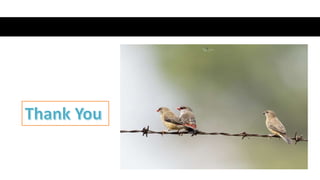 folliculogenesis.pptx