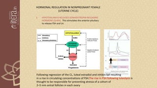 HORMONAL REGULATION IN NONPREGNANT FEMALE
(UTERINE CYCLE)
1. HYPOTHALAMUS RELEASES GONADOTROPIN-RELEASING
HORMONE (GnRH). This stimulates the anterior pituitary
to release FSH and LH.
Following regression of the CL, luteal estradiol and inhibin fall resulting
in a rise in circulating concentrations of FSH.The rise in FSH following luteolysis is
thought to be responsible for preventing atresia of a cohort of
2–5 mm antral follicles in each ovary
 