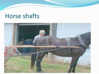 Horse shafts
 