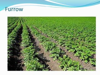 Furrow
 