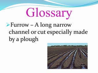 Glossary
Furrow – A long narrow
channel or cut especially made
by a plough
 