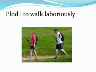 Plod : to walk laboriously
 