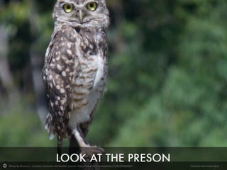 Photo by Bruna cs - Creative Commons Attribution License http://www.flickr.com/photos/72453943@N07

Created with Haiku Deck

 