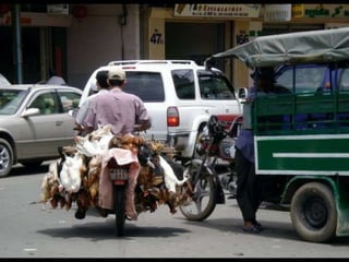 Followup cambodia ppt1.2