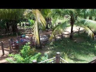 Followup cambodia ppt1.2