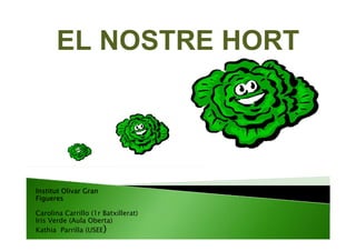 EL NOSTRE HORT




Institut Olivar Gran
Figueres

Carolina Carrillo (1r Batxillerat)
Iris Verde (Aula Oberta)
Kathia Parrilla (USEE)
 