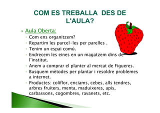 COM ES TREBALLA DES DE
            L'AULA?
Aula Oberta:
◦ Com ens organitzem?
◦ Repartim les parcel·les per parelles .
◦ Tenim un espai comú.
◦ Endrecem les eines en un magatzem dins de
  l’institut.
◦ Anem a comprar el planter al mercat de Figueres.
◦ Busquem mètodes per plantar i resoldre problemes
  a internet.
◦ Productes: coliflor, enciams, cebes, alls tendres,
  arbres fruiters, menta, maduixeres, apis,
  carbassons, cogombres, ravanets, etc.
 