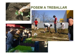 ENS POSEM A TREBALLAR
 