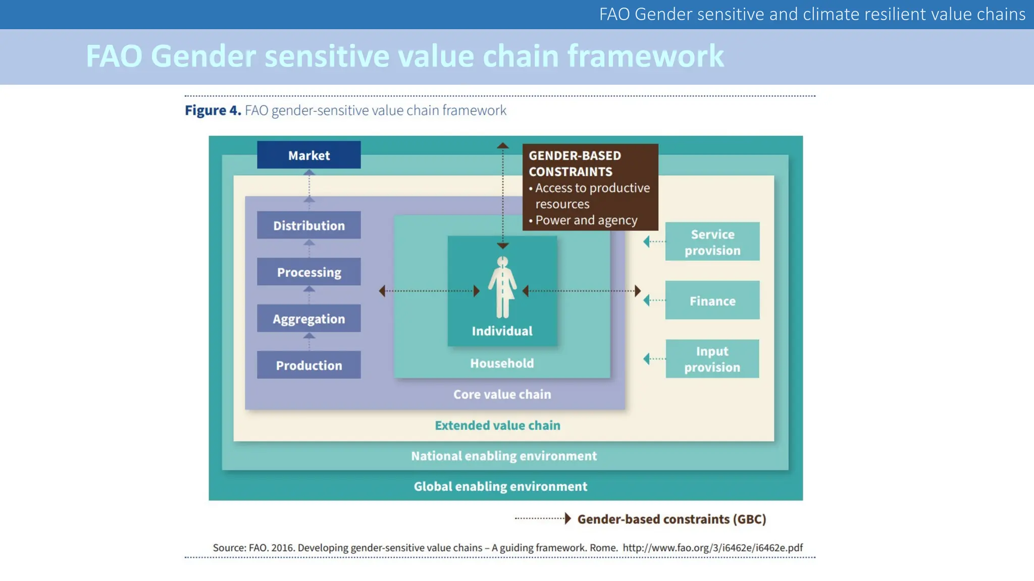 FAO Gender sensitive and climate resilient value chains
FAO Gender sensitive value chain framework
 