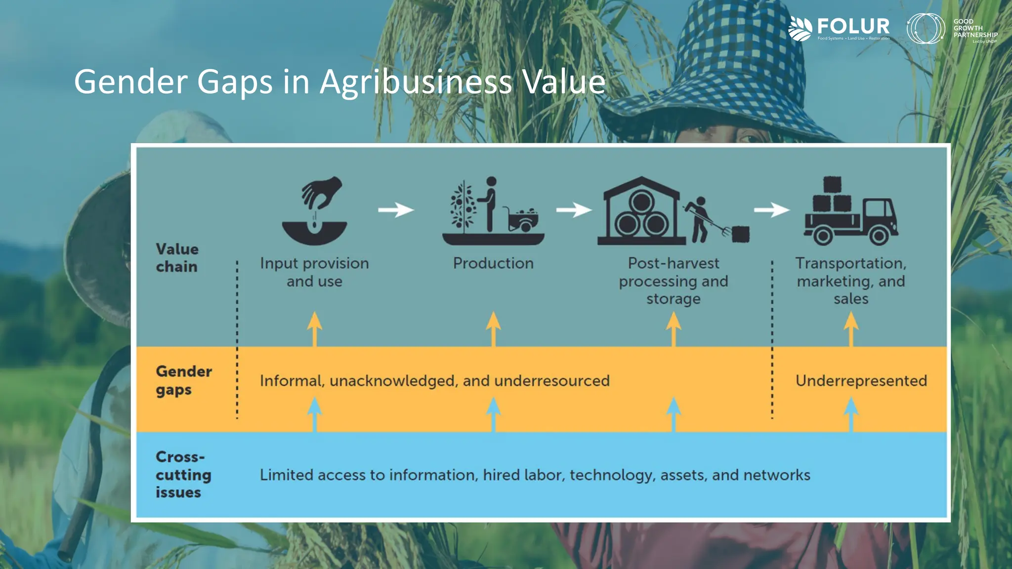 Gender Gaps in Agribusiness Value
 