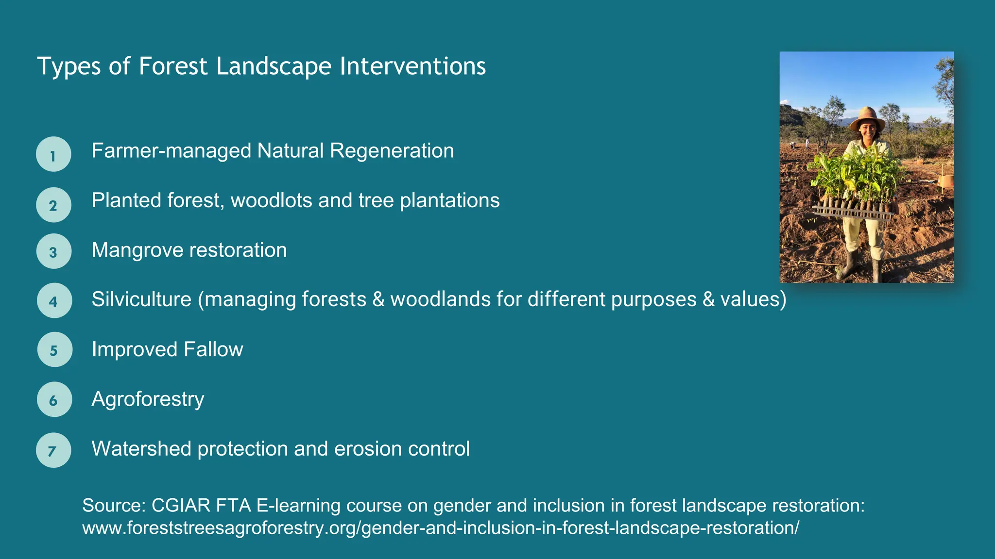 Types of Forest Landscape Interventions
1
2
3
4
Farmer-managed Natural Regeneration
Planted forest, woodlots and tree plantations
Mangrove restoration
Silviculture (managing forests & woodlands for different purposes & values)
Improved Fallow
Agroforestry
Watershed protection and erosion control
5
6
7
Source: CGIAR FTA E-learning course on gender and inclusion in forest landscape restoration:
www.foreststreesagroforestry.org/gender-and-inclusion-in-forest-landscape-restoration/
 
