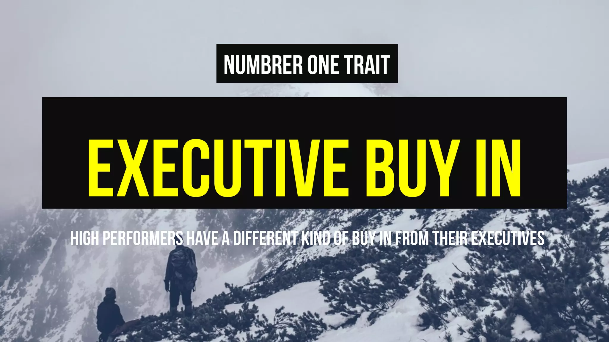EXECUTIVE BUY IN
HIGH PERFORMERS HAVE A DIFFERENT KIND OF BUY IN FROM THEIR EXECUTIVES
NUMBRER ONE TRAIT
 
